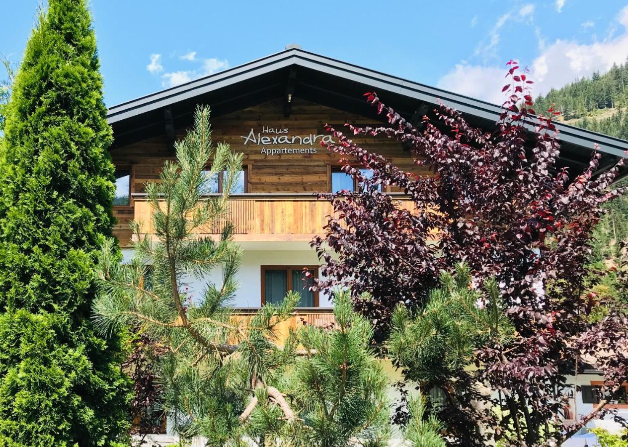 Haus Alexandra Apartamento Werfenweng Exterior foto